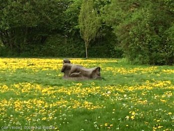 Der Weg ist das Ziel